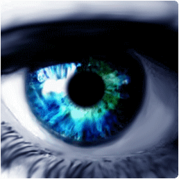 Alternate Pic Viewv3.460