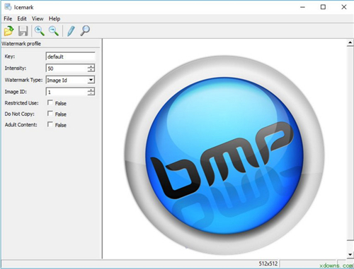 Icemark(数字水印软件)